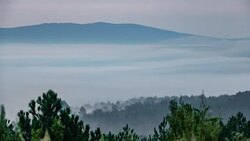 Mist dancing at dawn, long distance shot Stock Footage