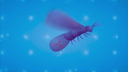 I WONDER - How Do Some Animals Glow? Instructional Video