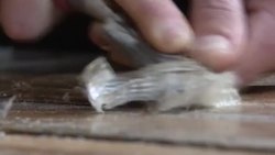 CLEAN : PALACE OF VERSAILLES PREPARING FOR ITS "RESURRECTION" POST-LOCKDOWN News Clip