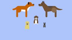 Variation Instructional Video