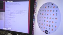 Robots ensure bees get the buzz News Clip