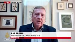 1,030 of the Palestinians killed in Gaza are children, more than a third of total deaths News Clip