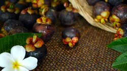 Top view of fresh delicious harvested mangosteens on wooden table. Thai organic purple fruit in the basket. Exotic natural blurred background with tropical flower. Healthy food and eating concept. Stock Footage