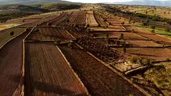 Agricultural Field Stock Footage