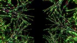 Neon Tree illumination Stock Footage