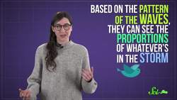 What Happens to Birds During Hurricanes? Instructional Video