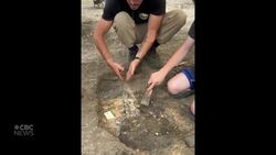 #TheMoment a teenager unearthed an 80-million year old mosasaur in Manitoba News Clip