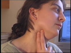 Exploring Blood Vessels Instructional Video