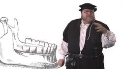 Andreas Vesalius dared to say Galen was wrong Instructional Video