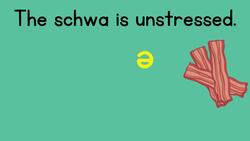 The Schwa Sound {The most common vowel sound!} Instructional Video
