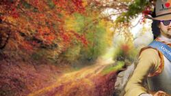 Who Was Peter The Great? Instructional Video