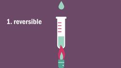 What Is Dynamic Equilibrium? Instructional Video