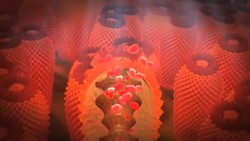 Coral Reefs -- Changing Planet Instructional Video