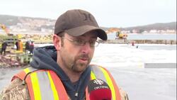 Dramatic dolphin rescue ends after several days' effort News Clip