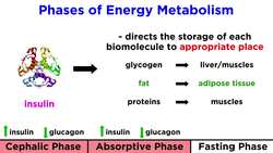 Hunger Knowing When to Eat Instructional Video