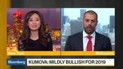 Battery Metals Demand to Keep Increasing, Canyon Resources' Kumova Says News Clip