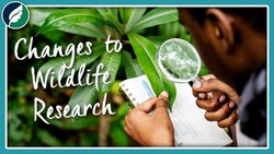 Amazing Advancements in Wildlife Biology | #NowNotThen Tag Instructional Video