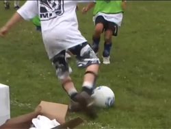 What Do Living Things Need?: Introduction Instructional Video