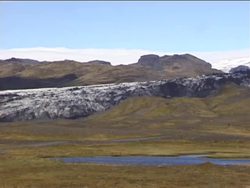 Life Through Time: Life in the Cenozoic Era Instructional Video