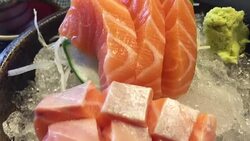 Salmon raw sashimi on black table. Closed up. Stock Footage