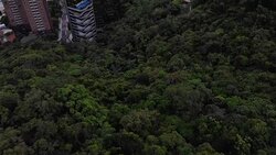 Aerial tilt of Taipei 101 skyscraper Stock Footage