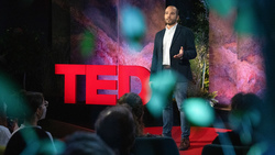 TED: How to transform the chemical industry -- one reaction at a time | Miguel A. Modestino Instructional Video