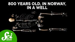 We Know Exactly Who This Guy Is Instructional Video