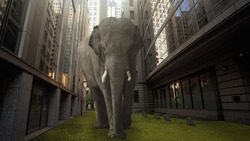 The Importance of Honesty: Lessons from Helen the Hippo Instructional Video