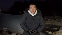 Baby eels, big money: How to get the elver fishery under control News Clip