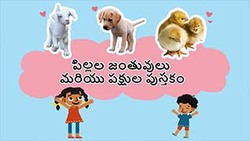 Cute Baby Animals - Little Wildlife Wonders - Telugu Instructional Video