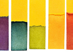 Indicator Instructional Video