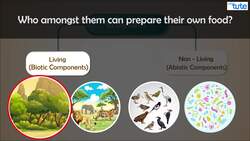 Introduction to Ecosystem Structure and Composition Instructional Video