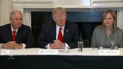 Trump meets with CEOs News Clip