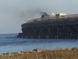 Problemas ambientales y soluciones: video de evaluación Instructional Video