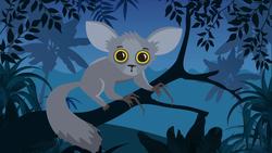 Weird Animal Facts for Kids Instructional Video