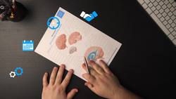 Parts of the brain: Learn with diagrams and quizzes Instructional Video