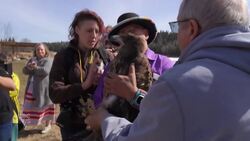 Rehabilitated eagle release at Métis Crossing connects culture and nature News Clip