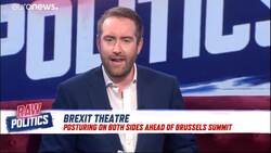 Ireland's foreign minister draws Ireland's red lines in Brexit negotiations News Clip