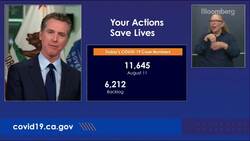California 'Turning the Corner' on Pandemic: Governor News Clip
