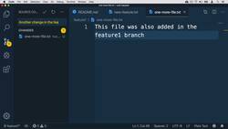Complete Git Guide: Understand and Master Git and GitHub - Pushing Branch to Remote Instructional Video
