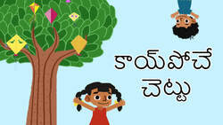 Exploring the Fascinating World of Shapes - Telugu Instructional Video