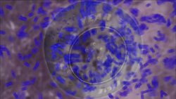 Tires and Pressure - Science of Speed Instructional Video