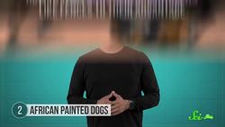 6 of the Planet's Best Hunters Instructional Video