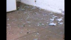 Zimbabwe: Mugabe's Land Reform and the Fight for Democracy Instructional Video