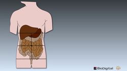HST-AP Mapping the Body Pt. 2 Instructional Video