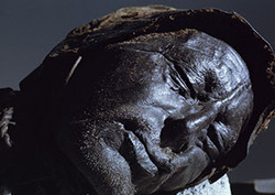 Forensics: Bog Bodies Instructional Video