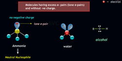 Nucleophiles: The Atom Seekers of Organic Chemistry Instructional Video
