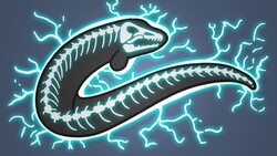 Why Don't Electric Eels Shock Themselves? Instructional Video