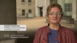 COVID-19 antibodies may disappear quickly, new study finds News Clip