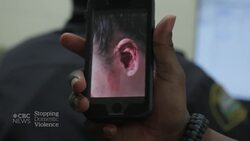 Protecting domestic violence victims through radical intervention News Clip